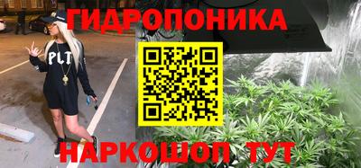 МДПВ Партизанск