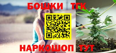 МДПВ Партизанск