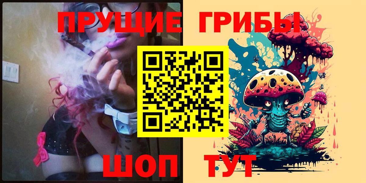 Псилоцибиновые грибы Psilocybe Нягань