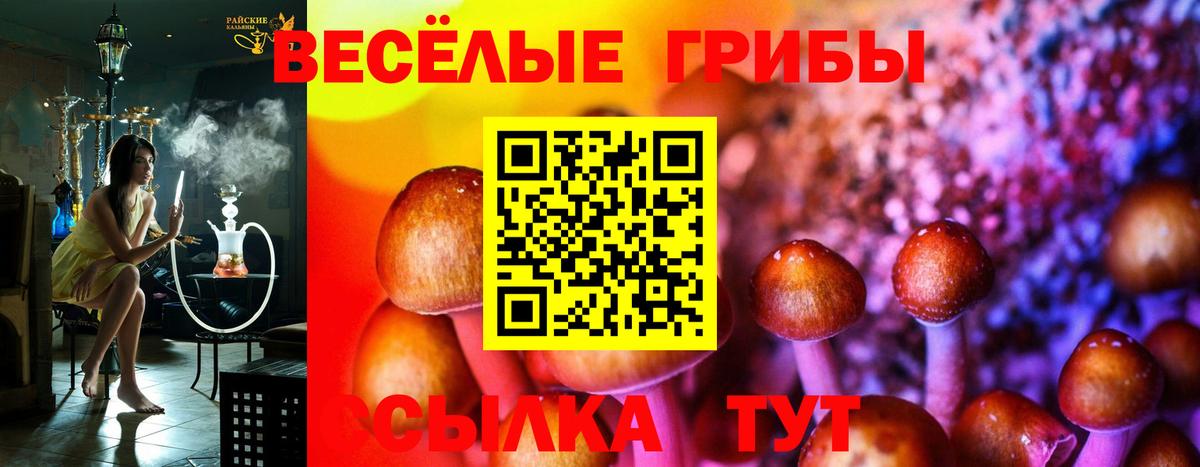 Нягань  Псилоцибиновые грибы MAGIC MUSHROOMS  Вход с VPN 